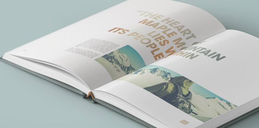 MapleMtDivisionMockUp